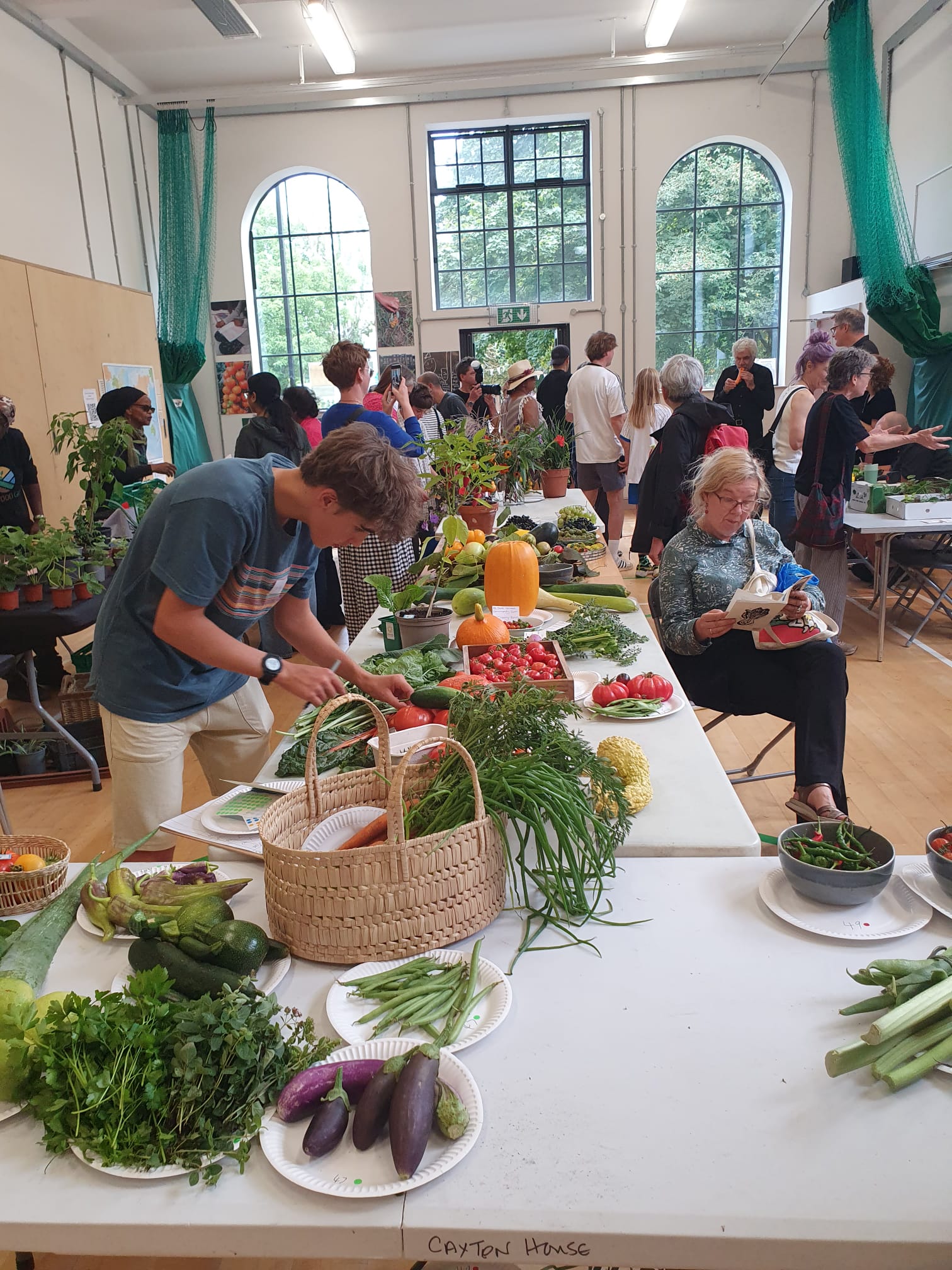 Tom cataloguing entries at the Islington Grow Show